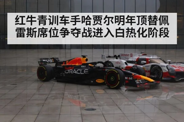 红牛青训车手哈贾尔明年顶替佩雷斯席位争夺战进入白热化阶段